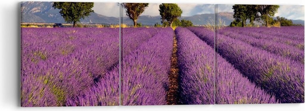 Bild auf Leinwand - Leinwandbild - Landschaft Wiese Pflanzen - 90x30cm - Wand Bild - Wanddeko - Leinwanddruck - Bilder - Kunstdruck - Wanddekoratio...