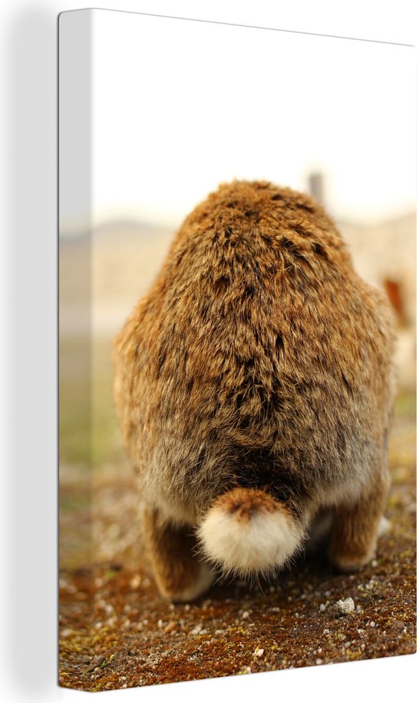 OneMillionCanvasses - Leinwandbilder - 90x140 cm, Kaninchen - Tier - Fell, Wandbilder Kunstdruck Wanddekoration - Wandschmucke - Schlafzimmer
