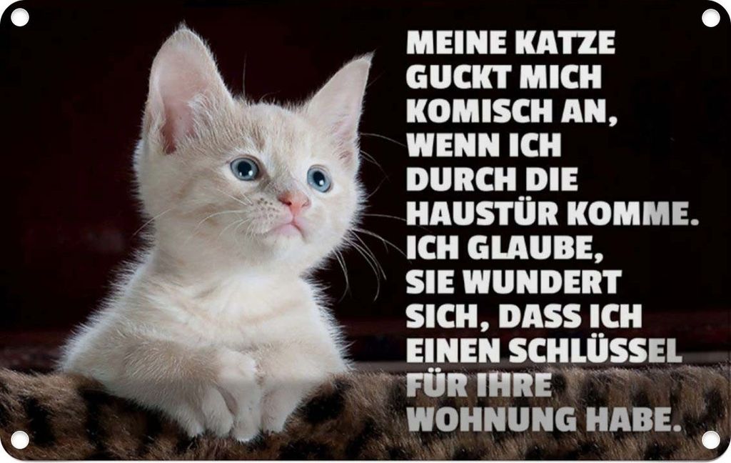 vianmo Blechschild 12x18 cm Katze guckt mich komisch an Tier Haustier