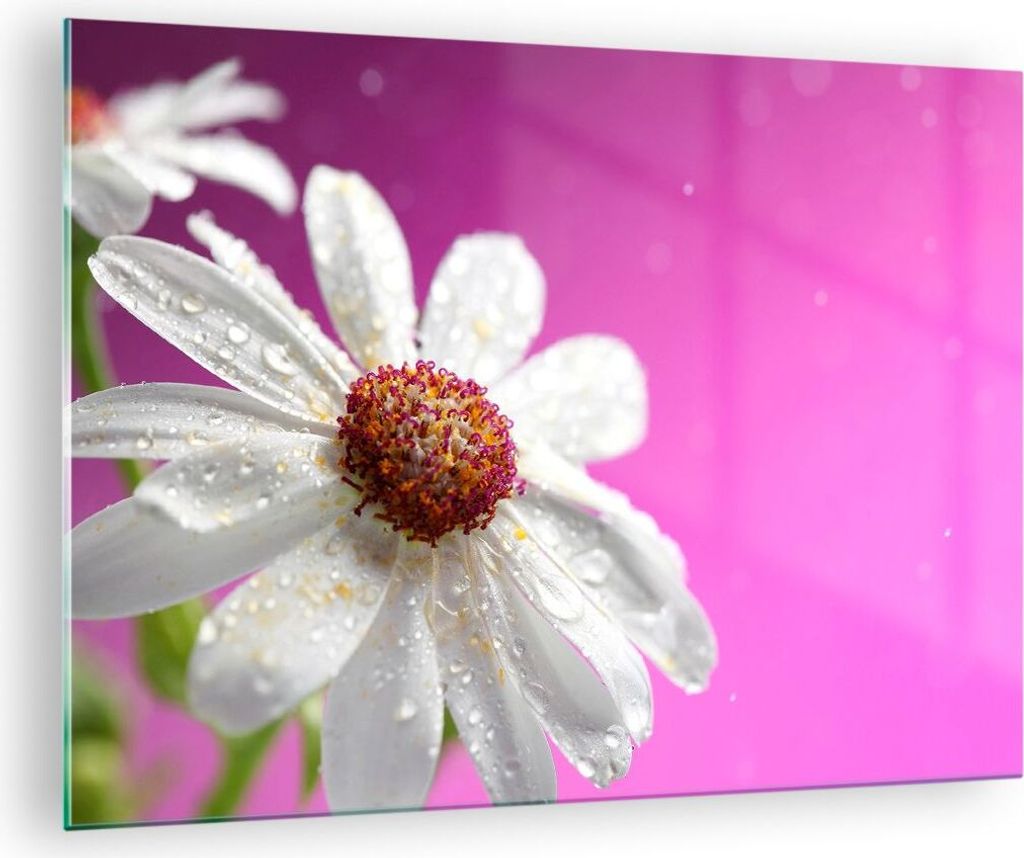 Bilder auf glas - Blume frühling garten - 70x50cm - Glasbilder - Wandbilder - Kunstdruck - zum Aufhängen bereit - Wanddekoration aus Glas - Glas ...