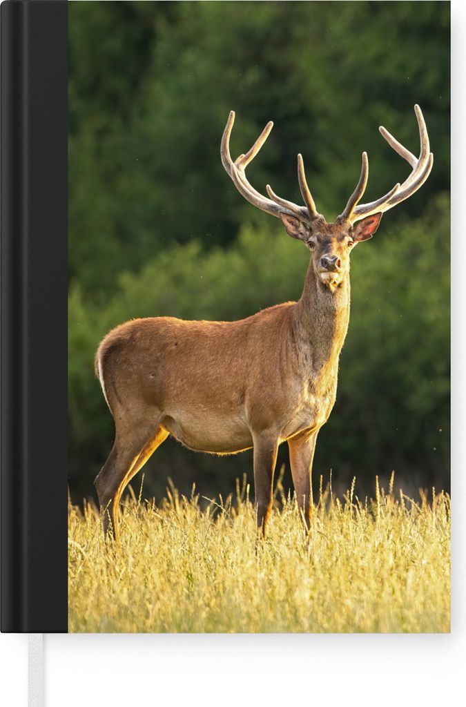 MuchoWow Notizbuch Tagebuch Haushaltsbuch Notebook A5 Hirsch - Geweih - Gras - Natur - Tiere - Grün - Notizblock - Notizheft - Notebook - Schrei...