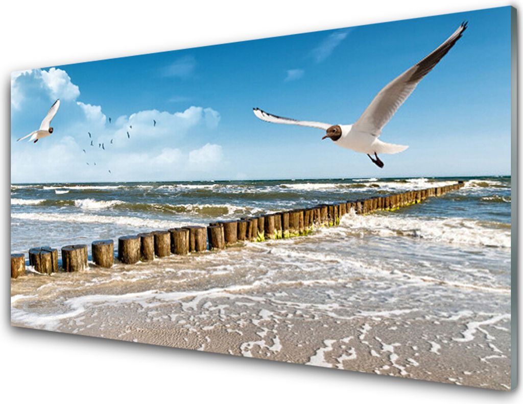 Acrylglasbilder 100x50 Wandbild Druck Möwen Meer Landschaft