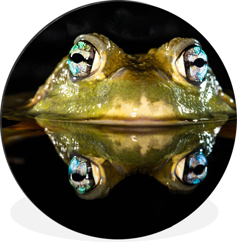 MuchoWow Aluminium Wandkreis Frosch - Augen - Porträt Ø 90 cm Wanddeko Modern Wohnzimmer