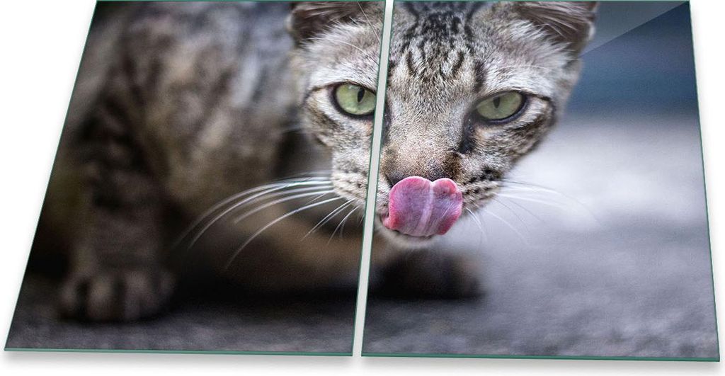 Herdabdeckplatte Glaskeramik 2-Teilig 2x40x52 Katze Grau Abdeckung Spritzschutz Glas