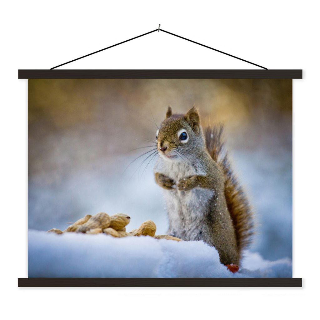 MuchoWow Textilposter Eichhörnchen - Nüsse - Schnee - Winter - Nagetiere - Jahreszeiten 60x45 cm mit schwarzem Rahmen - Poster Schlafzimmer