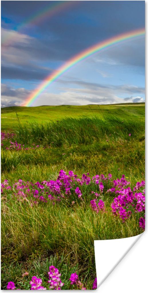 MuchoWow Poster Regenbogen - Blumen - Heidekraut 20x40 cm - Plakat - Foto