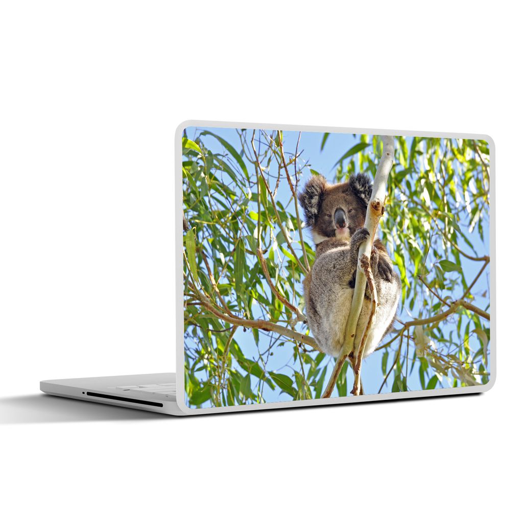MuchoWow Laptop Aufkleber Sticker Cover Koala - Luft - Zweige - Kinder - Jungen - Mädchen 30x21 cm - Sticker für Laptop - Selbstklebend
