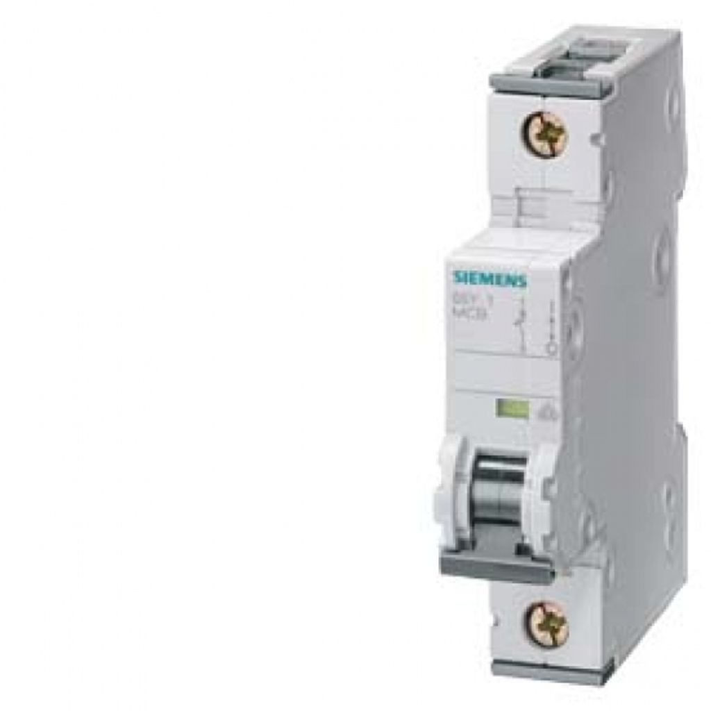 Siemens Dig.Industr. LS-Schalter 5SY4125-6 5SY41256