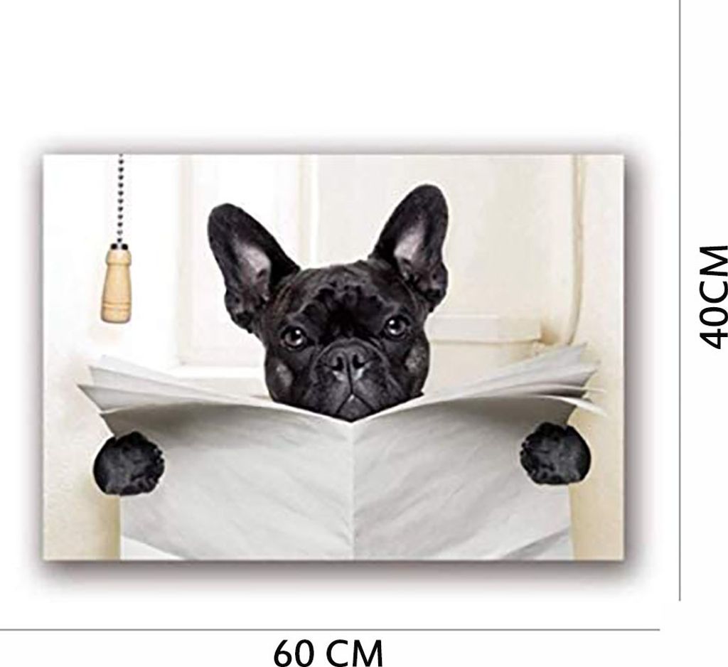 Hund liest Zeitungsplakate