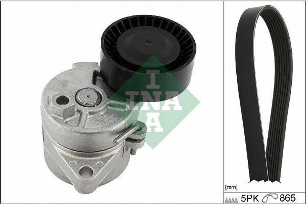 INA 529 0458 10 Keilrippenriemensatz für BMW 3 Limousine (E46)
