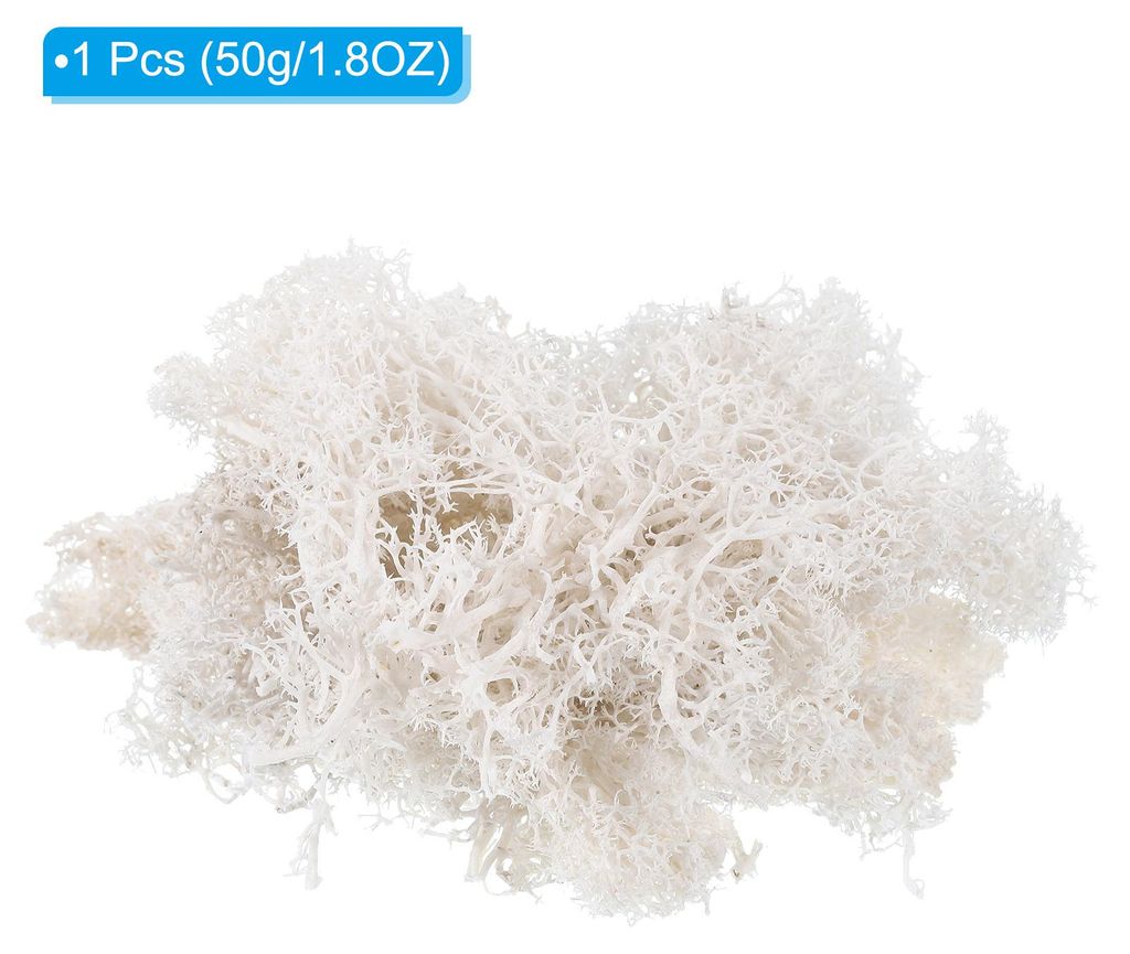 1.8 OZ Kunstmoos Konserviertes Rentiermoos Kš¹nstliches Produktbild 