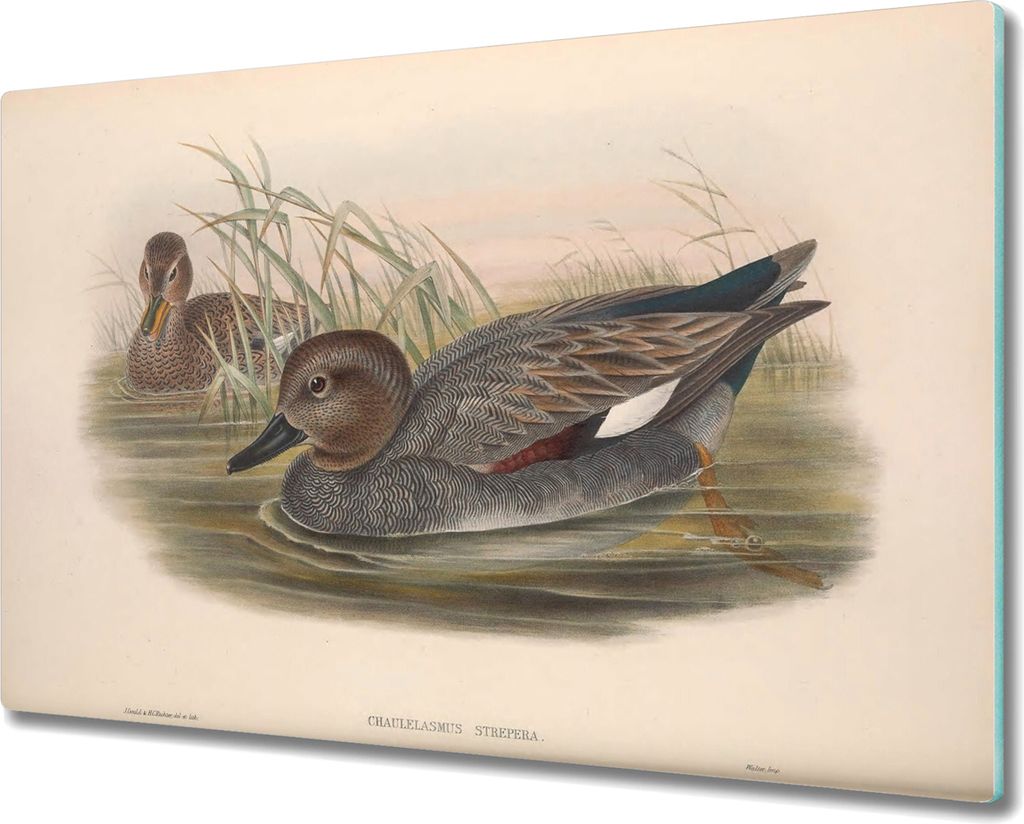 Coloray Küchenbrett Kochplattenabdeckung Hackbrett Schneidebrett Herdabdeckplatte 80x52 cm - Vögel Tiere