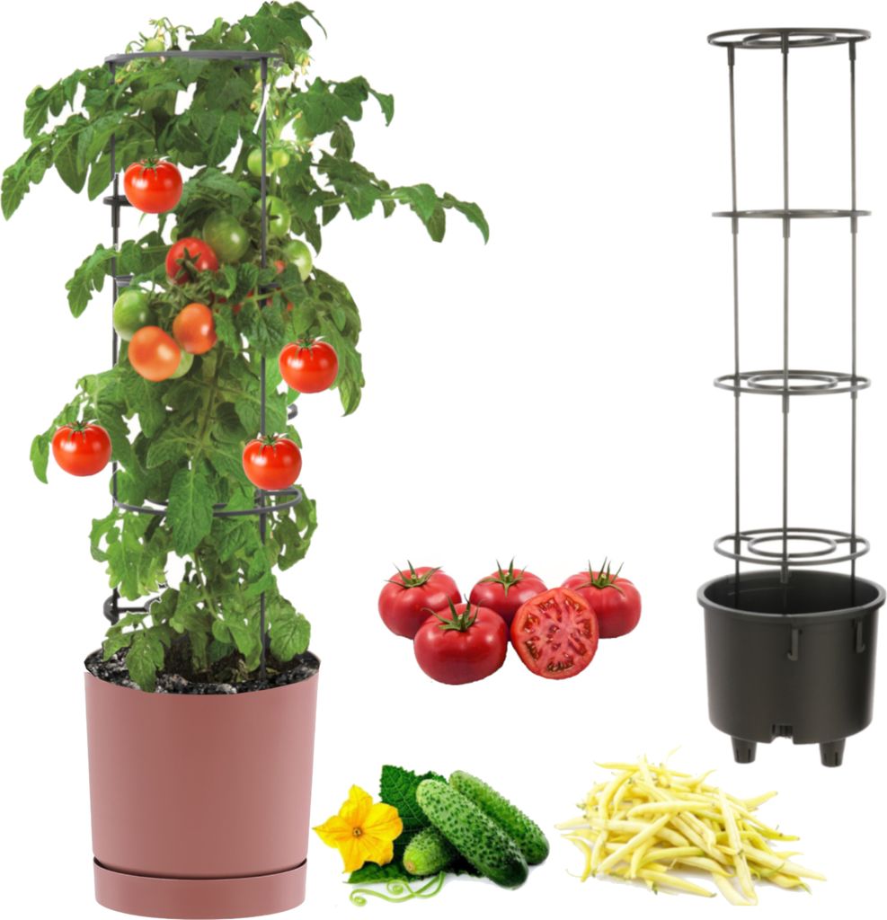 Tomatentopf, Tomatenpflanze Pflanzkübel, Topf zur Anzucht von Kletterpflanzen, Gemüsetopf, Übertopf, Gurken, Bohnen, Ø40 cm rosa,Kunststoff + E...