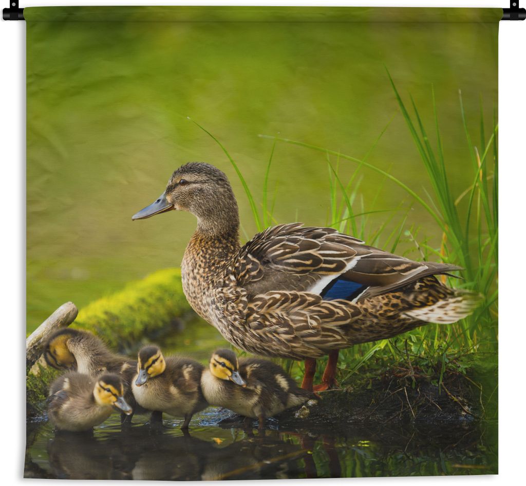MuchoWow Wandteppich Wandbehang Ente - Vögel - Wasser - Zweig - Moos 120x120 cm Tapisserie Dekoration Wandtuch - Modern - Baumwollgewebe