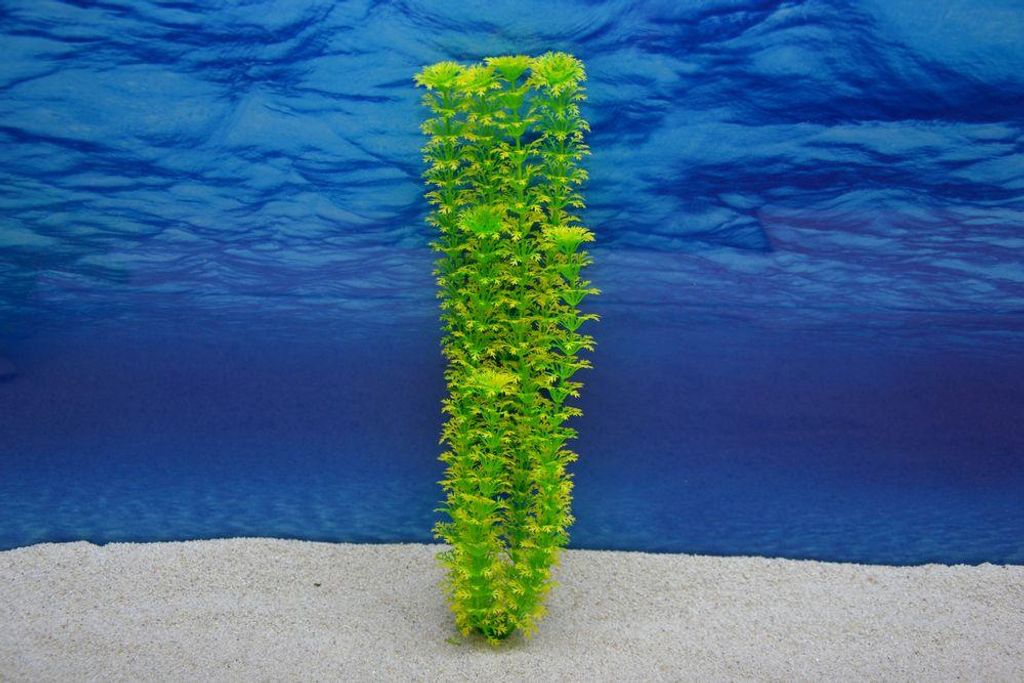 Amtra Cabomba XL 36cm – Künstliche Pflanze für Produktbild 
