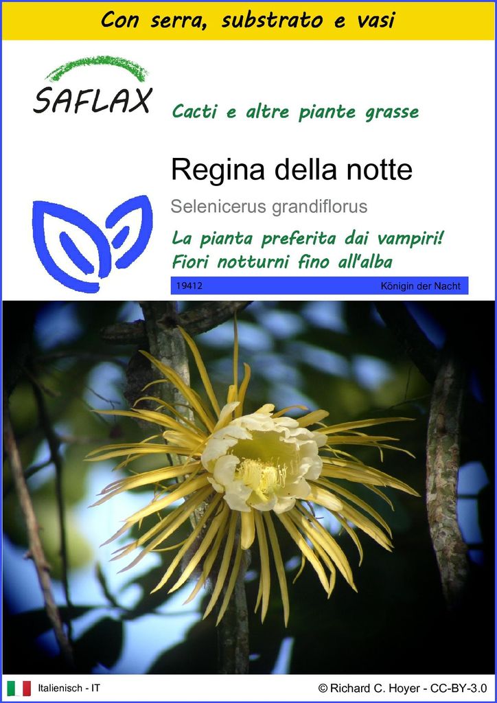 SAFLAX Insieme di coltivazione - Regina della notte - 40 Immagine del prodotto 