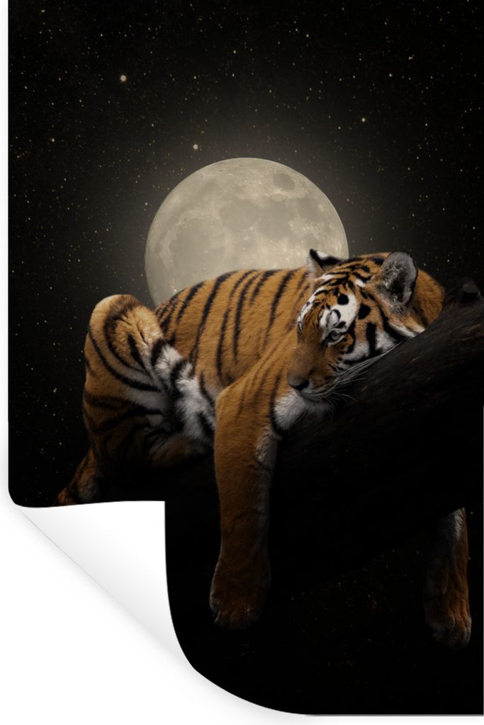 MuchoWow - Sticker - Dekorfolie