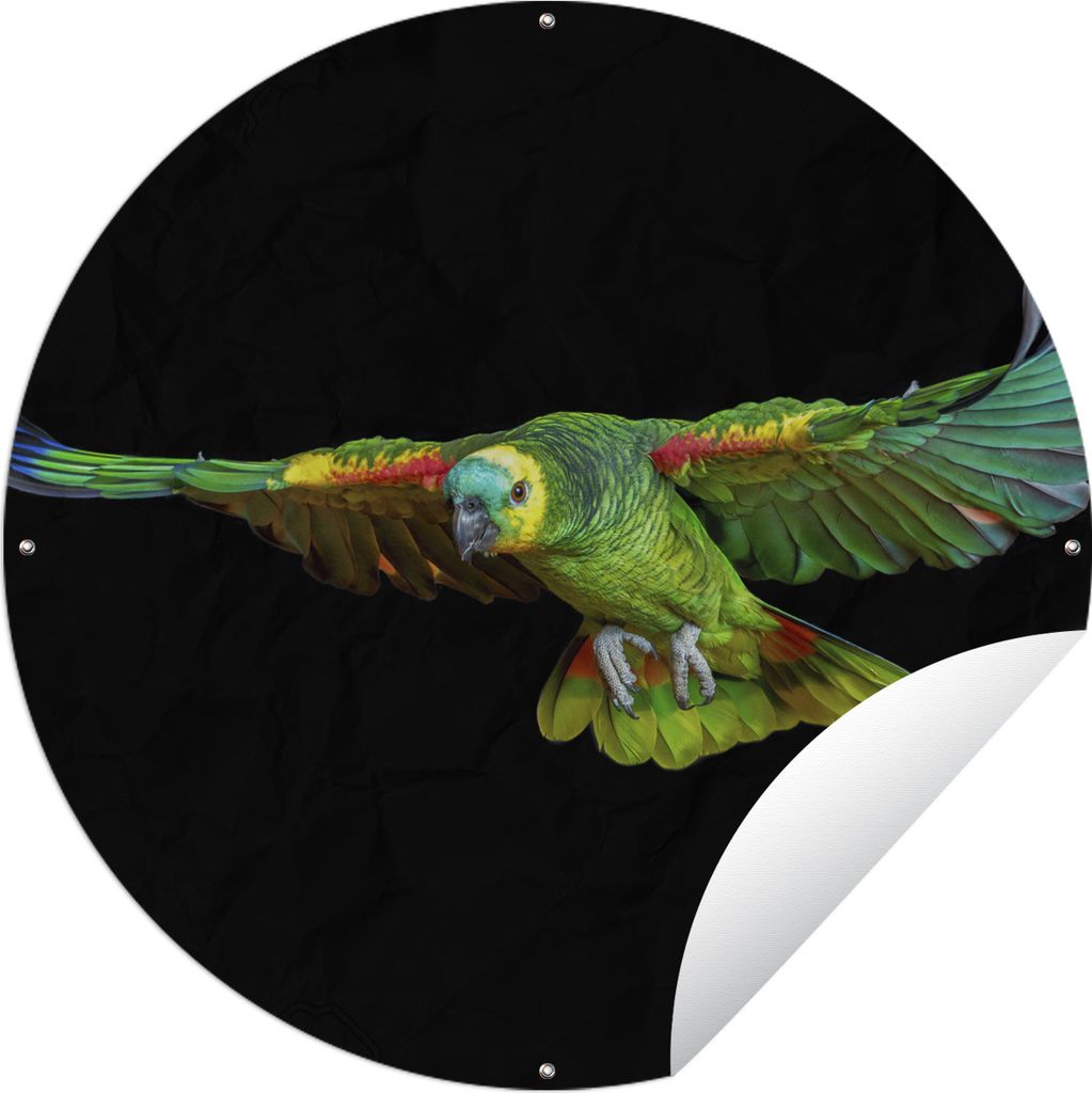 MuchoWow Gartenposter Outdoor-Poster Rund Papagei - Vogel - Federn Ø 150 cm Gartendeko Rundes Poster draußen