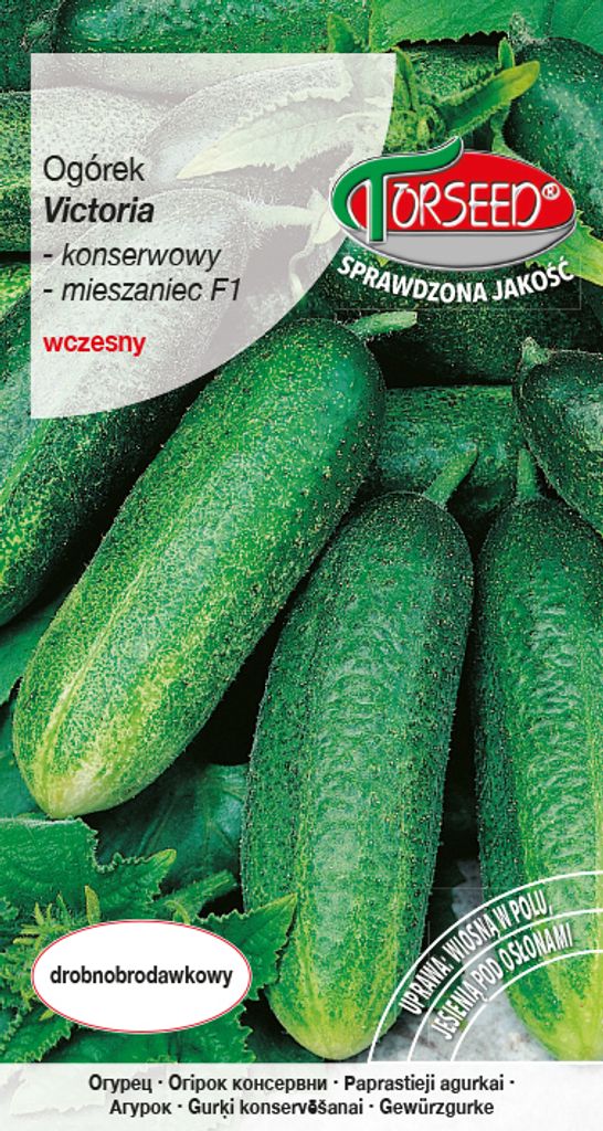 Seeds of Victoria F1 5g Dosengurke gemahlen - Torseed Produktbild 
