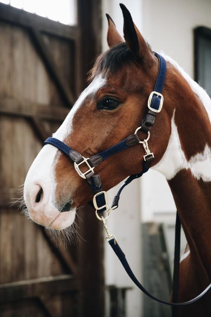 Kentucky Horsewear Geflochtene Nylon Führleine 2 m Grau