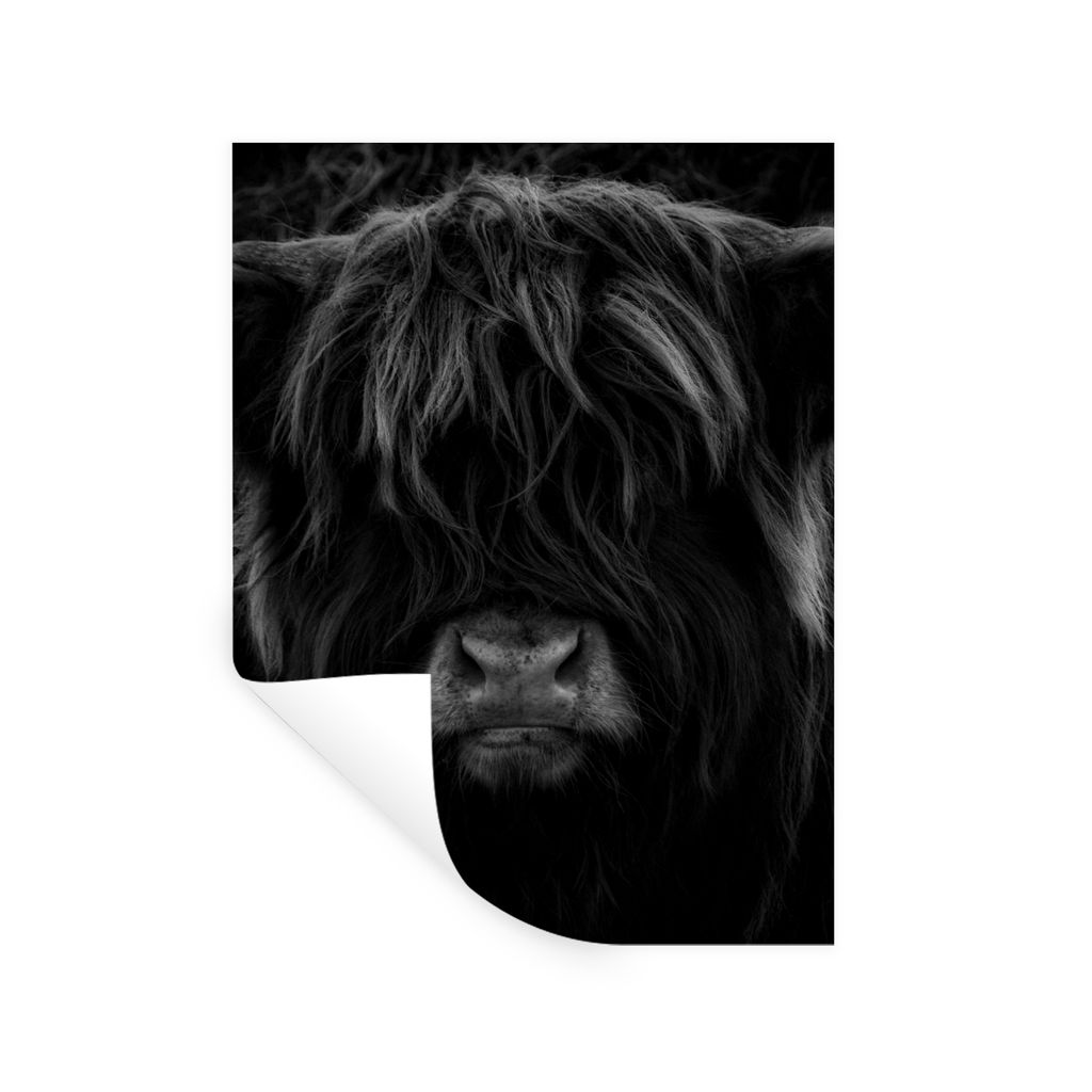MuchoWow Wandtattoo Wandsticker Wandaufkleber Schottischer Highlander - Kuh - Schwarz - Weiß - Porträt 120x160 cm Selbstklebend und Repositioni...