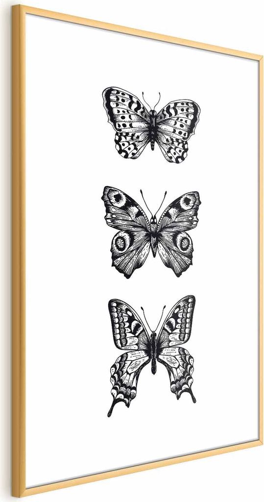 Posterpapier Poster - Three Butterflies 60x90 cm Tiere g-B-0116-ao-a
