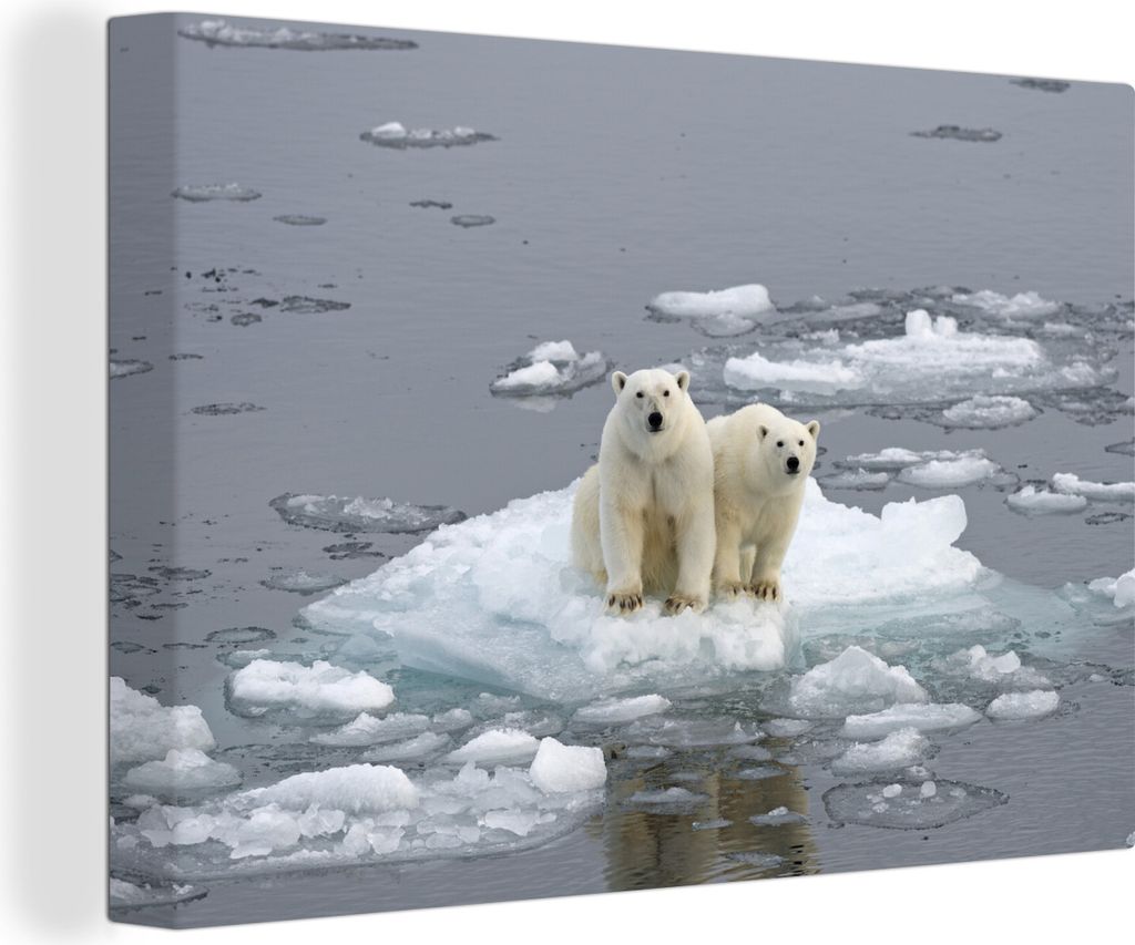 OneMillionCanvasses - Leinwandbilder - 140x90 cm, Eisbär - Wasser - Winter, Wandbilder Kunstdruck Wanddekoration - Foto auf Leinwand - Gemälde ...