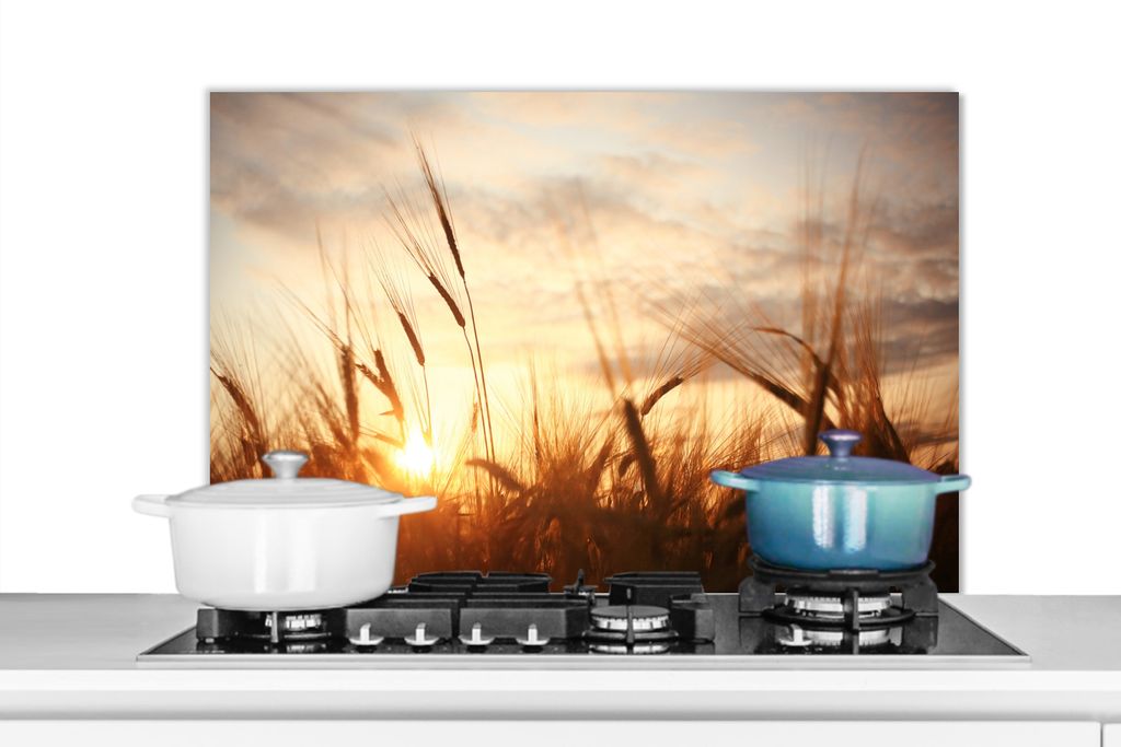KitchenYeah Spritzschutz Küche - Küchenrückwand - Wandschutz für Herd und Spüle - Schilf - Gras - Sonnenuntergang - Natur - Horizont 80x55 -...