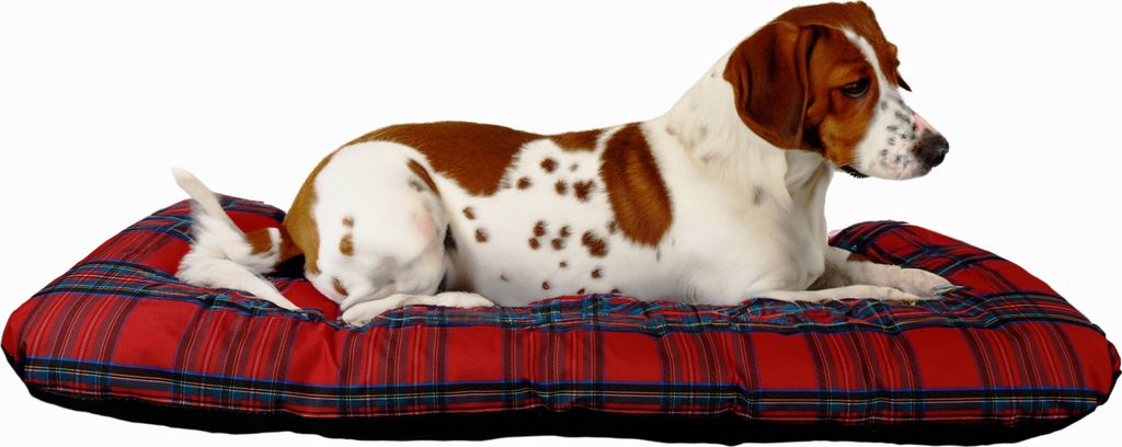 Kissen für Hundebett Rocky in rot 80x50x21cm