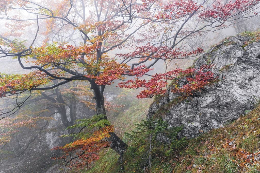Sanders & Sanders Fototapete Landschaft Rot, Grün und Orange 300 x 200 cm