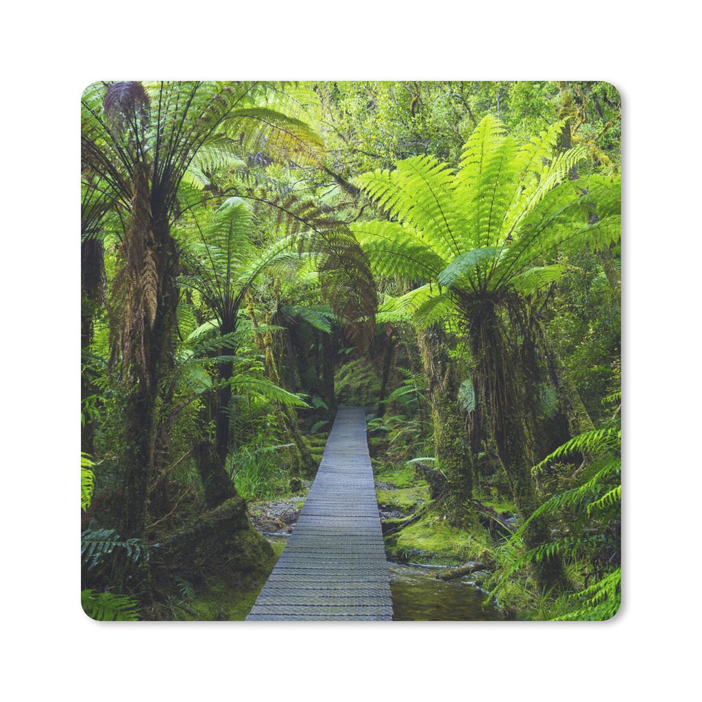 MuchoWow Mauspad Mousepad Neuseeland - Pfad - Dschungel 20x20 cm - Mousepads - Maus Mat - Pad - Mausunterlage - Desk Mat - Bureauartikeln