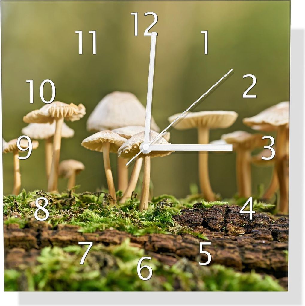 Wallario Design Wanduhr Pilze auf Baumstamm aus Echtglas, Größe 30 x 30 cm