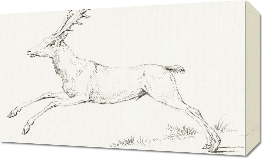 Bild 50x30cm Springender Hirsch, Jean Bernard Vintage für das Wohnzimmer