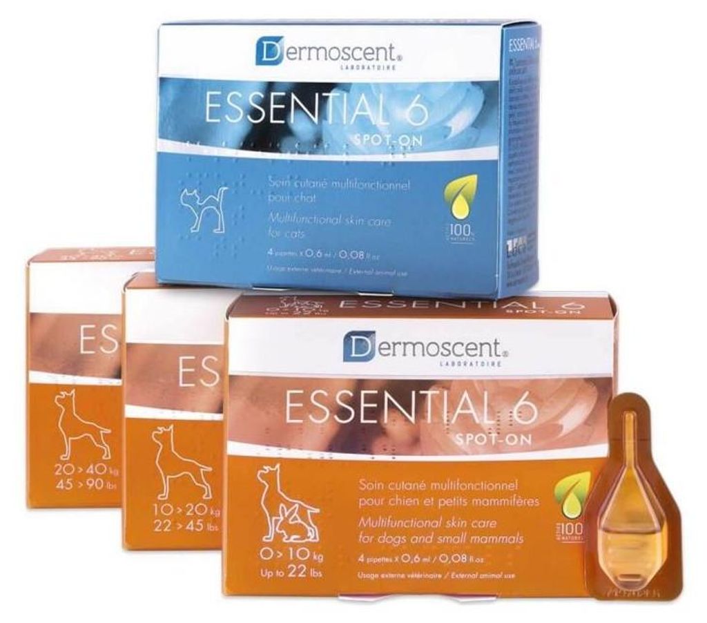 Essential 6 Hund 1 - 10 Kg - Dermoscent Produktbild 