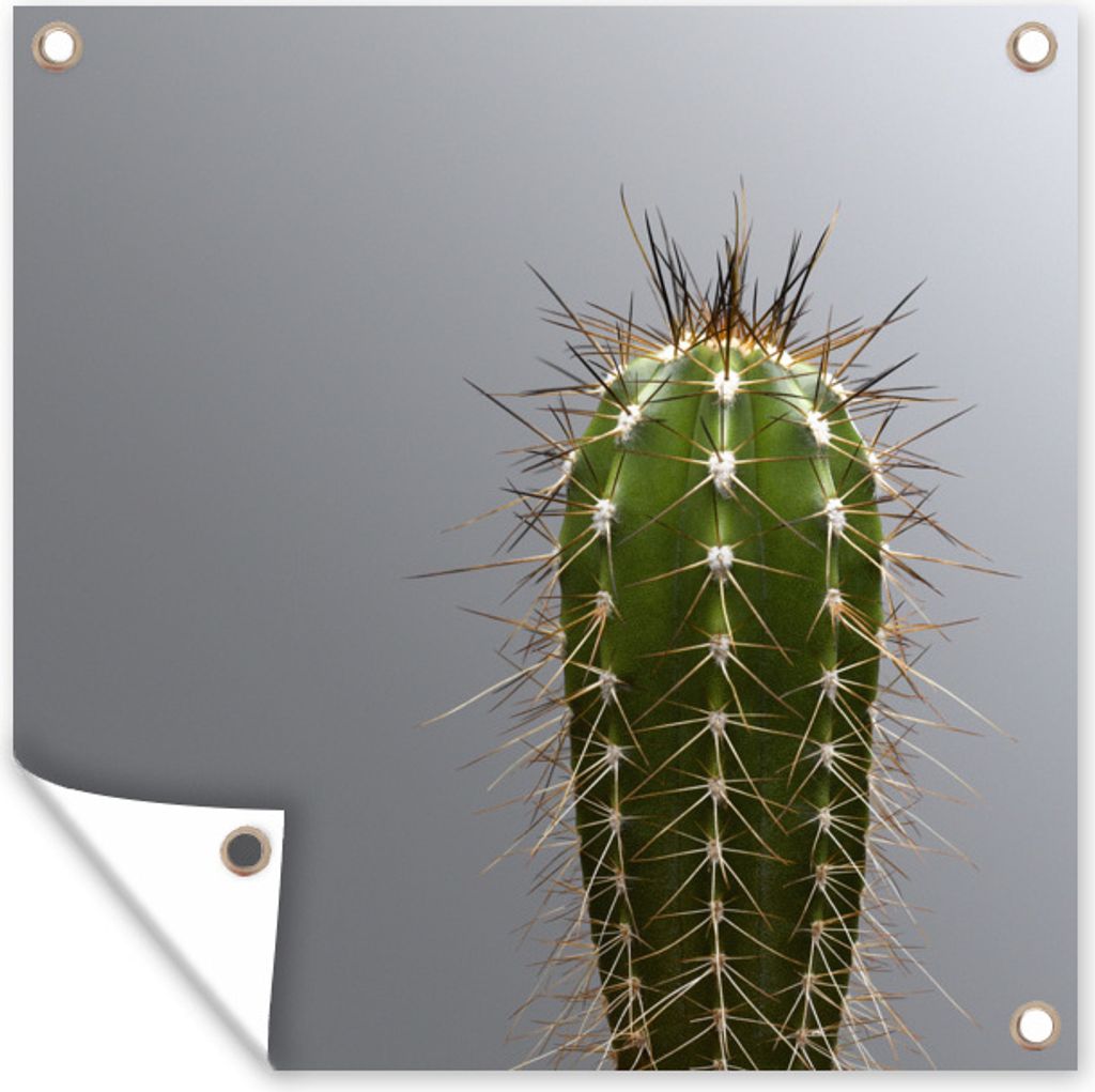 MuchoWow 50x50 cm Outdoor-Poster Gartendeko Sichtschutz Garten Poster für den Garten Kaktus botanischer Druck