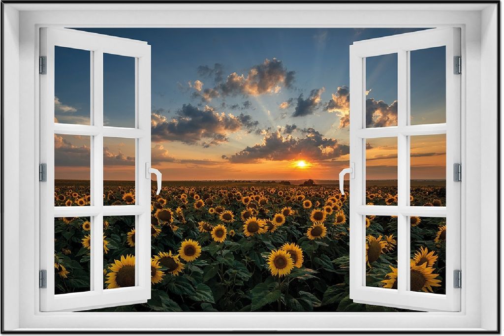 Wallario Wandbild mit Fenster-Illusion: Sonnenblumenwiese vor Wolken mit Sonnenuntergang, Größe: 61 x 91,5 cm, Poster mit schwarzem Aluminiumrahmen