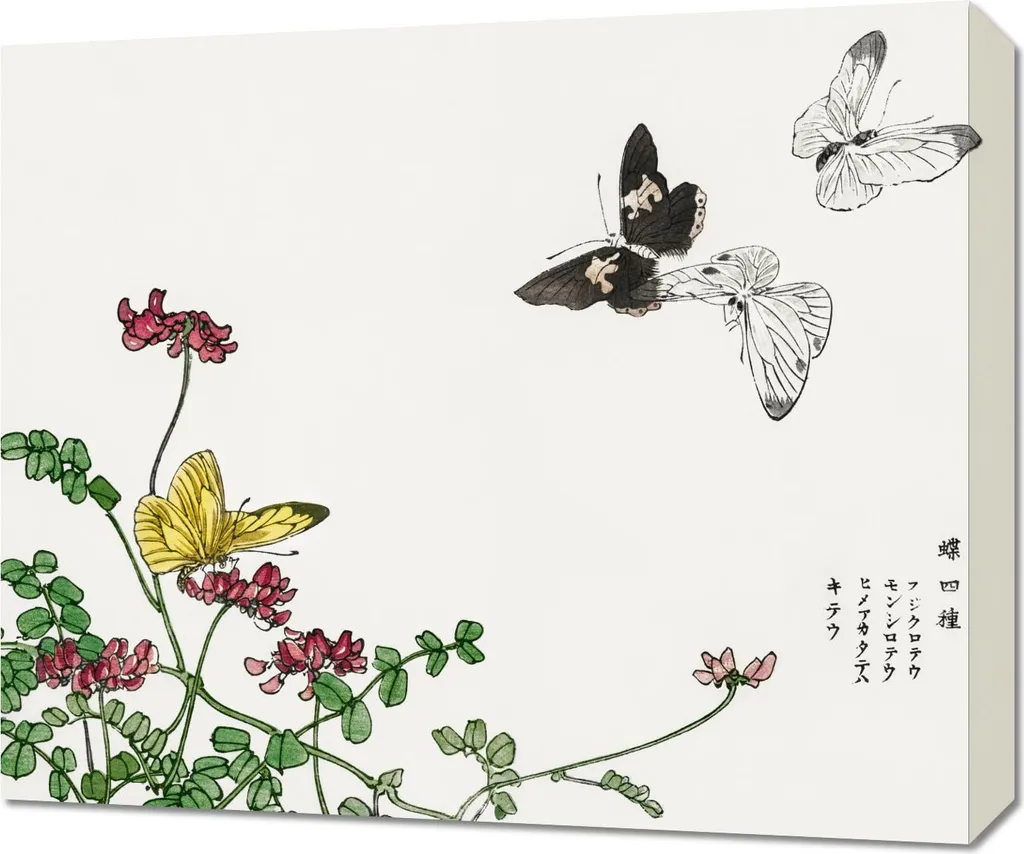 Quadro Vintage Morimoto Toko 60x50 - Farfalle e Fiori per Salotto