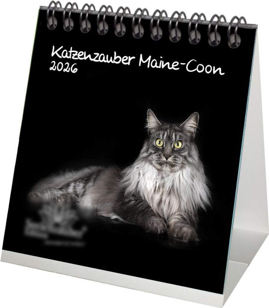 Katzenzauber Maine-Coon Tischkalender 10cm x 10cm für 2026 Katzen und Katzenbabys - Seelenzauber