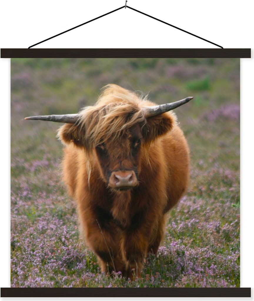 MuchoWow Textilposter Schottische Hochlandbewohner - Heidelandschaft - Tiere 60x60 cm mit schwarzem Rahmen - Posteraufhänger