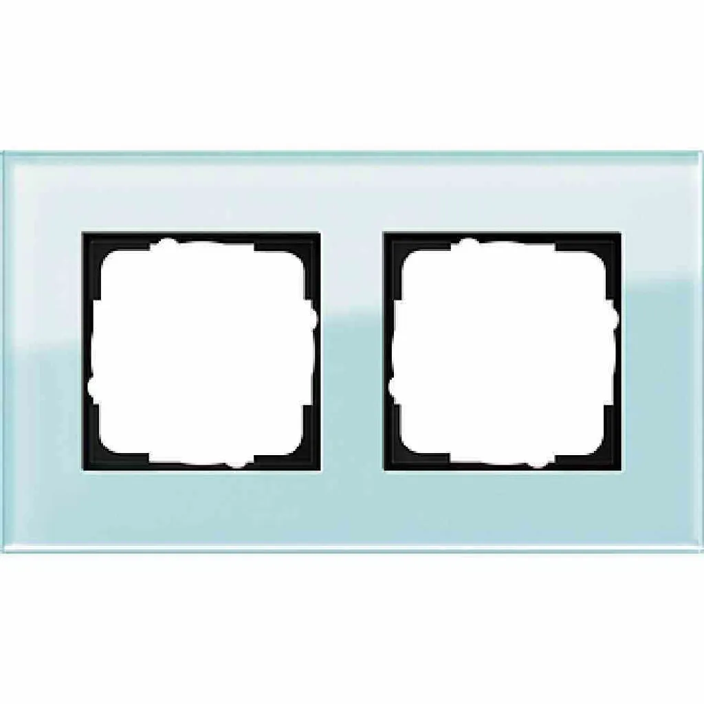 Gira Esprit Cadre double pour deux prises ou interrupteurs, Mint 021218