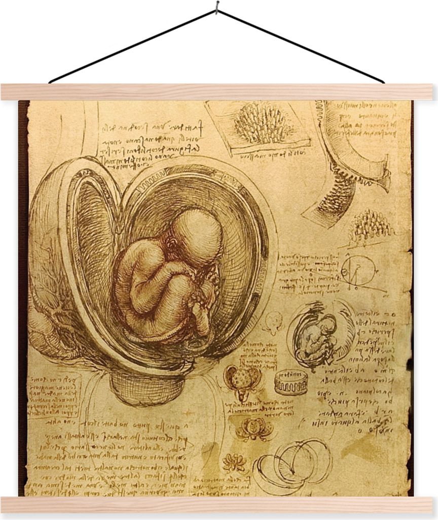 MuchoWow Textilposter Baby im Mutterleib - Leonardo da Vinci 120x120 cm mit holzfarbenen Rahmen - Textil-Poster