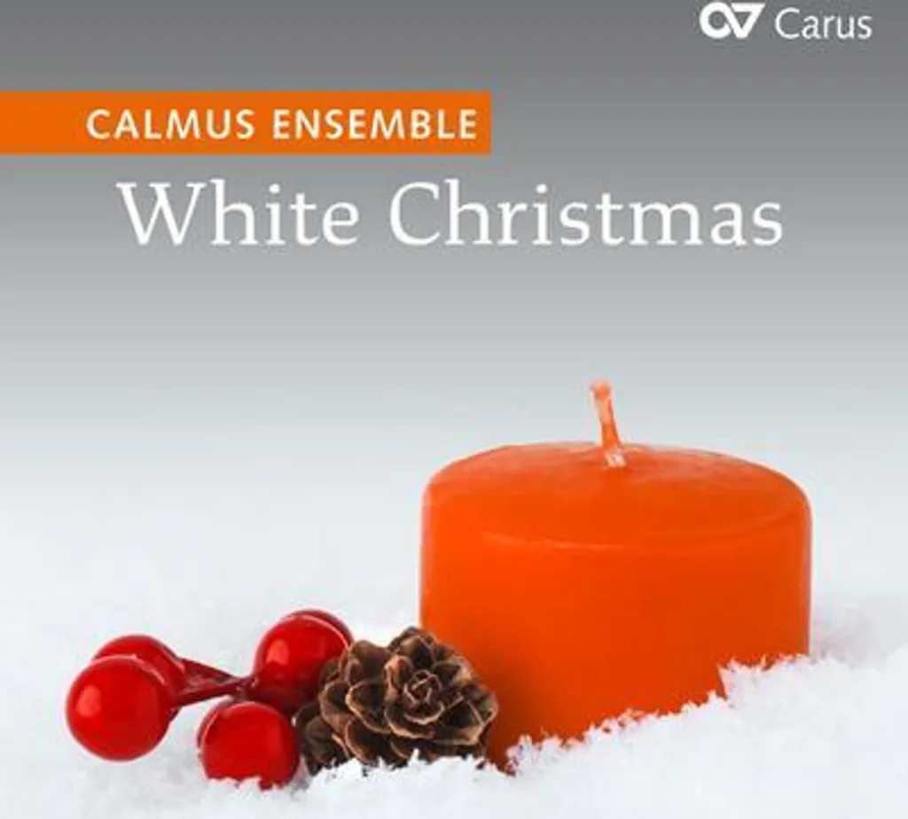 Déco Noël blanc : Kit complet pour table de fête et sapin nordique
