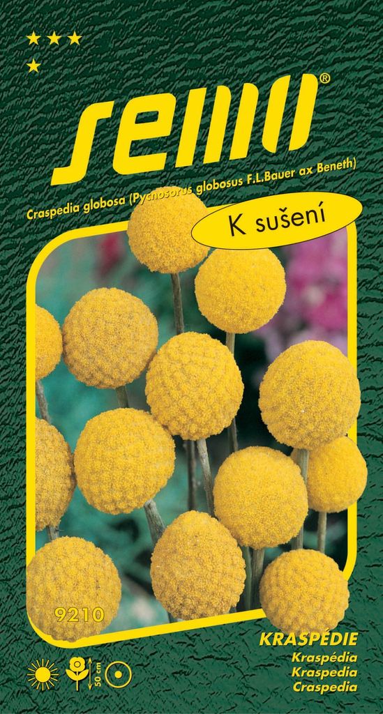 Semo Kraspédie - Billy Buttons 0,1 g Obrázok produktu 