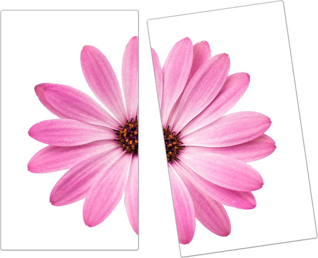 Spritzschutz Herdabdeckplatte Schneidebrett aus Glas Blüte von Nah 2-Teilig (60x52cm)