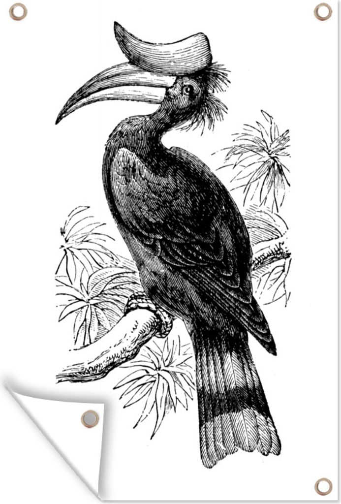 MuchoWow 40x60 cm Outdoor-Poster Gartendeko Sichtschutz Garten Poster für den Garten Hornvogel - Zweig - Weiß