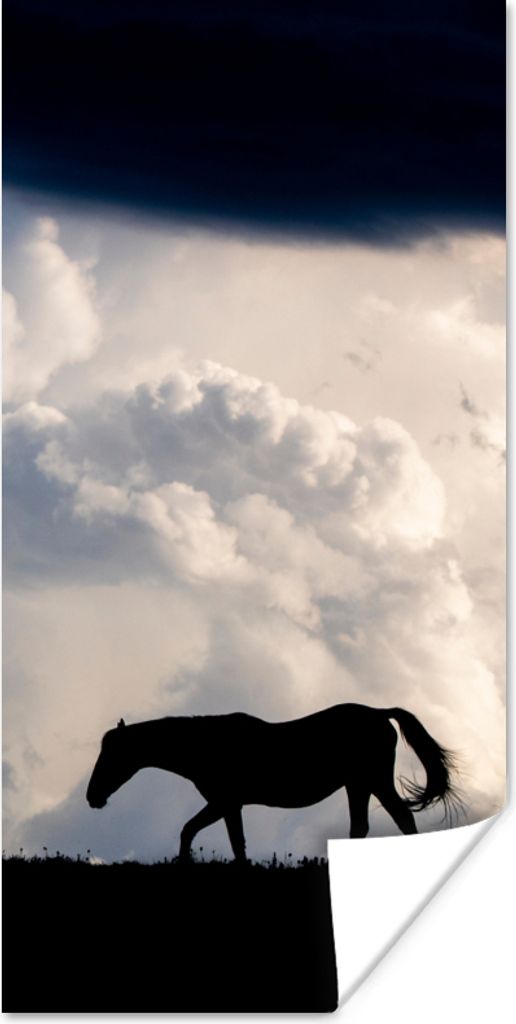 MuchoWow Poster Pferd - Wolken - Schatten 40x80 cm - Dekoration