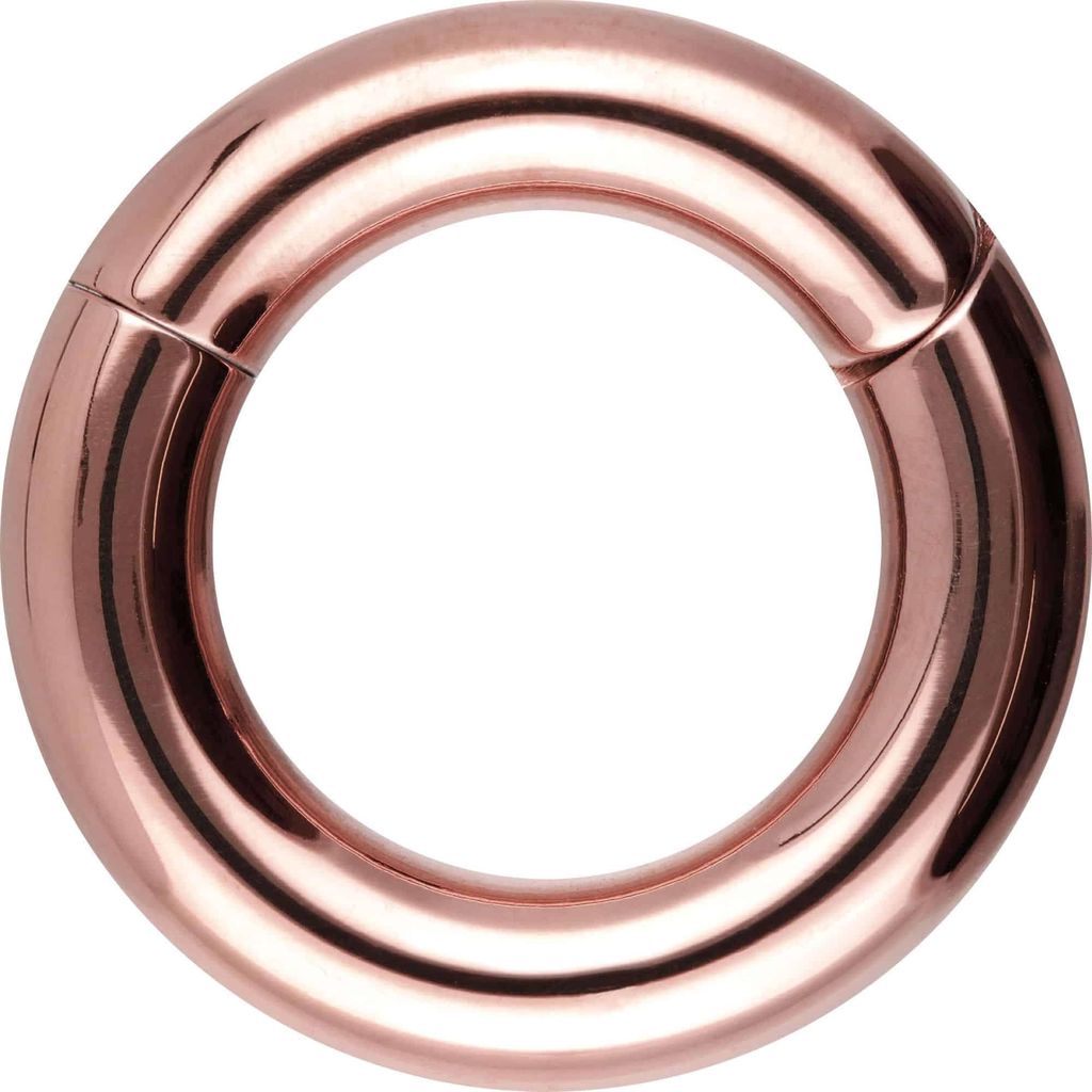 Ohrpiercing, Nasenpiercing, Septum Piercing Chirurgenstahl Segmentring Clicker RoséGold Innendurchmesser: 14mm + Stabstärke: 5mm