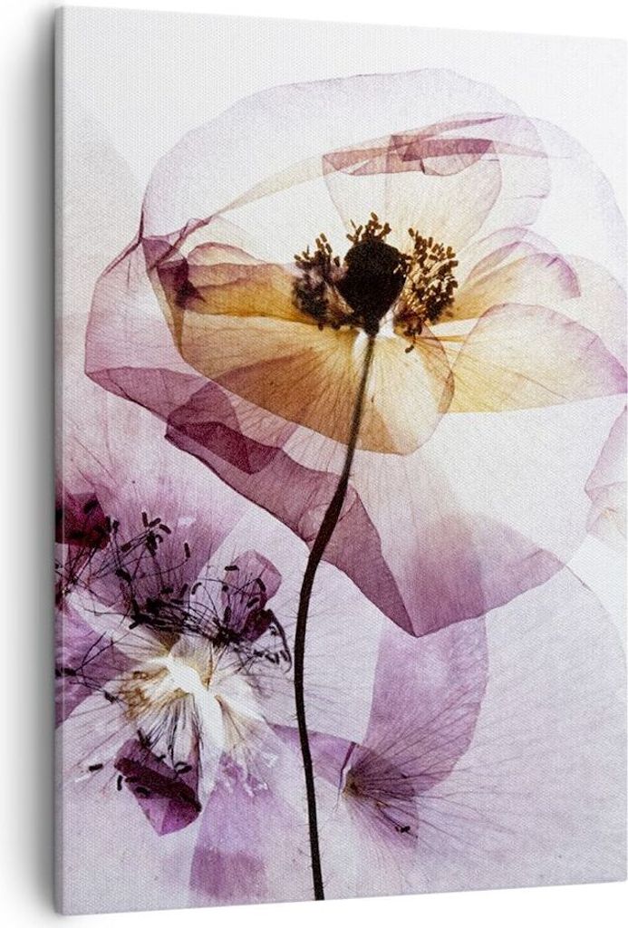 Bild auf Leinwand - Leinwandbild - Einteilig - blume sommer natur - 50x70cm - Wand Bild - Wanddeko - Wandbilder - Leinwanddruck - Wanddekoration - ...