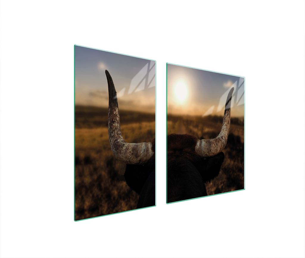 Glasplatte und Schneidebrett 100x52 SUN