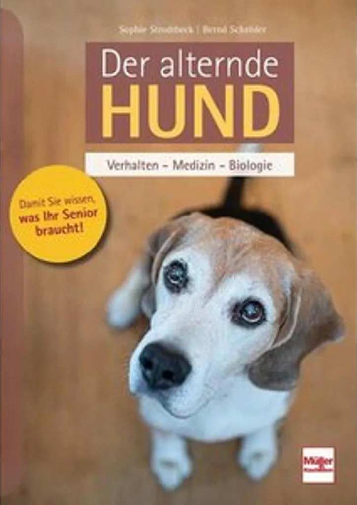 Guide Chien Vieillissant : Manuel pratique de soins pour chiens seniors